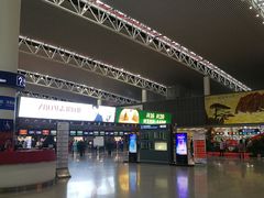 -合肥新桥国际机场-航站楼