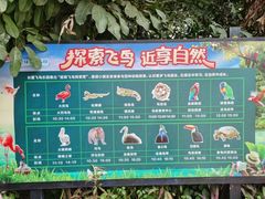 -广州长隆国际大马戏