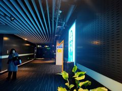 -奥斯卡升龙国际影城(RealD Cinema)