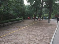 -西安市长乐公园
