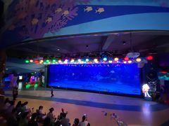 -烟台海昌鲸鲨海洋公园