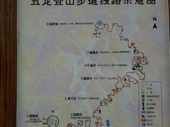 -五龙城郊森林公园