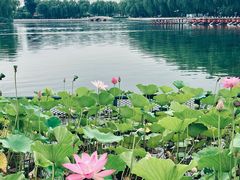 -郭守敬纪念馆