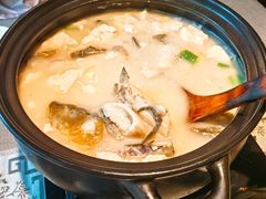 雪山鱼炖豆腐-炊烟餐厅