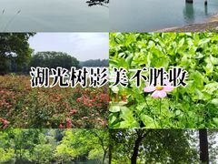 -红花湖景区