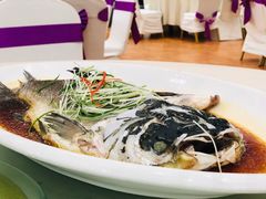 清蒸四海胖头鱼-雅和生态渔庄·宜城锅巴饭(龙灵山公园店)