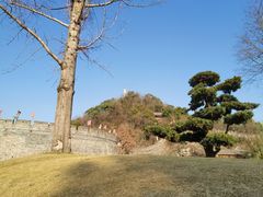 -紫阳古街