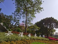 -云溪植物园