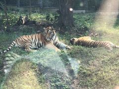 -西安秦岭野生动物园