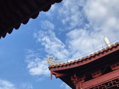 -八仙山公园