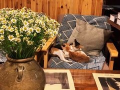 -麦田书店(国防路店)