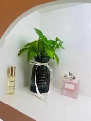 -美肤盾祛痘·问题肌头疗管理中心