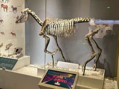 -国家自然博物馆