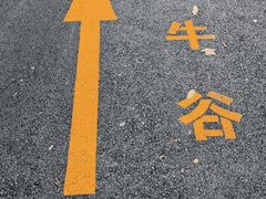 -牛背梁国家森林公园