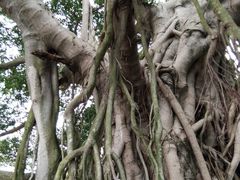 -万达影城(世茂海峡广场IMAX店)