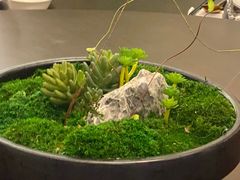 -碧丽宫大酒店(召稼楼店)