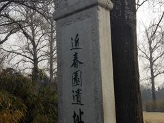 近春园遗址-近春园遗址