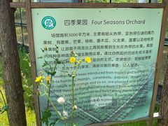 -上海都市菜园