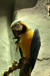 -Zoolung Zoolung动物主题公园(海信广场店)