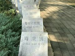 -北京麋鹿生态实验中心