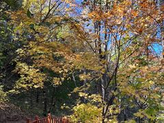 -玉渡山自然风景区