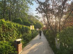 -元大都城垣遗址公园