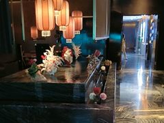 -索拉古贝(义乌北苑店)