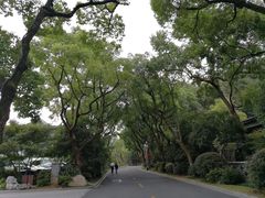 -浙江西子宾馆·瑶园咖啡厅