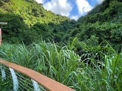 -梧桐山风景名胜区