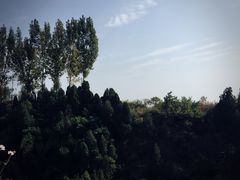 -轿顶山景区