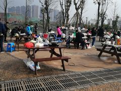 -枫香湖儿童公园