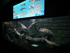 -梦幻海洋王国(吾悦广场张家港店)