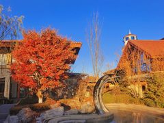 -大连金石滩绿发温泉假日酒店