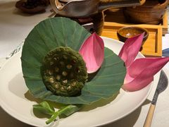 -叶叶菩提(太原别墅店)