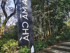 -MAMACHA妈妈茶(岳麓山店)