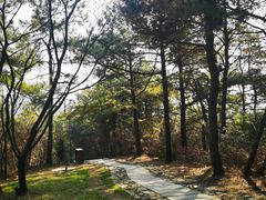 -缥缈峰景区