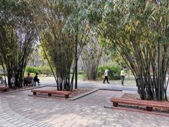 -晓港公园