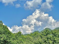 -少华山国家森林公园