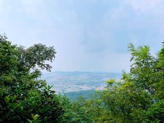 -紫金山山顶公园