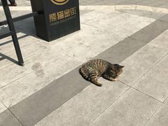 -邓莽子老火锅(中兴路总店)