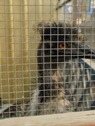 -萌宠亲子动物乐园(槐房万达店)