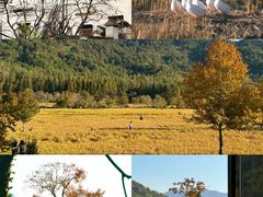 -塔川景区