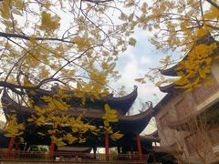 -龙潭水乡