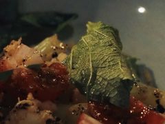 蔬菜沙拉-Fukumimi·美醉堂 居酒屋(金尚店)