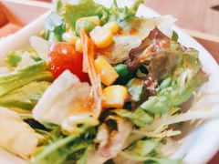 蔬菜沙拉-桃花丼烧肉饭(凯丹商场店)