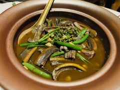 -西郊5号·Maggie 5