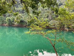 景点-鼎湖山风景区