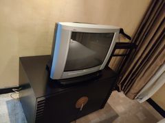 -上海棕榈滩海景酒店