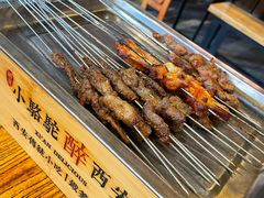 -福苗小骆驼烧烤(莲湖路店)