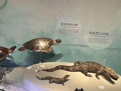 -中国湿地博物馆